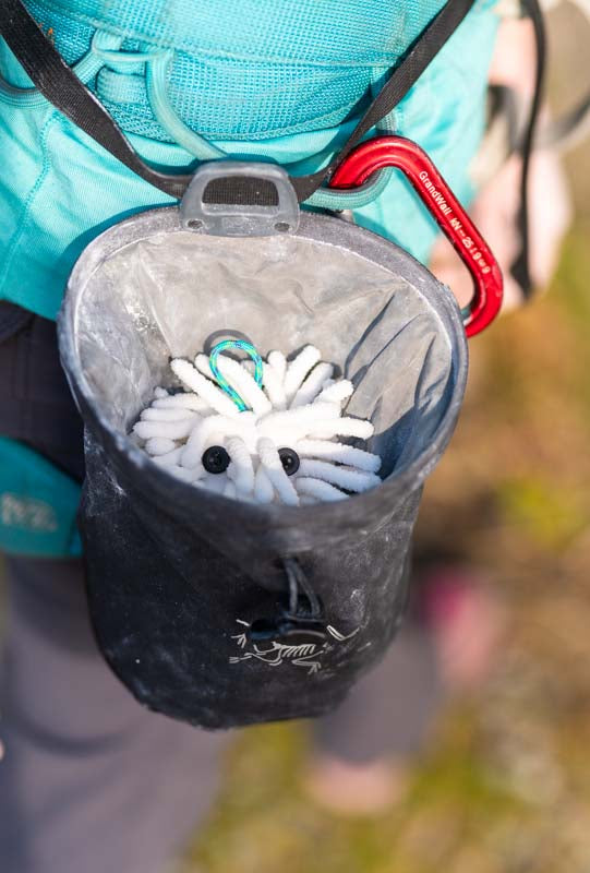 A person in a teal shirt and black climbing gear shows us their black chalk bag with a Midnight Lightning's Chalktopus inside. A red carabiner is attached to the harness on their waist.